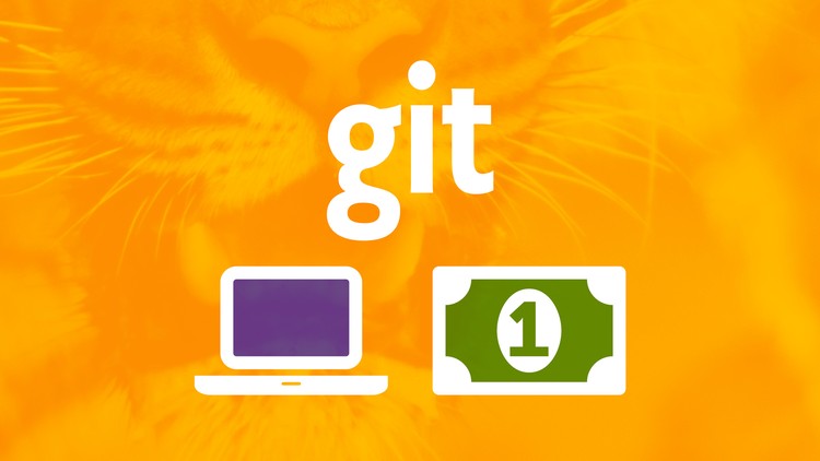 Git a Web Developer Job: Mastering the Modern Workflow Course Site Learn Git, GitHub, Node.js, NPM, Object-oriented JavaScript, ES6, webpack, Netlify, BEM and Job Interview Tips