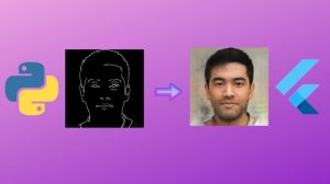 Human Generator Mobile App with Flutter & Python - Free Course Site Learn how to build a Scalable Deep Learning Mobile Application using Flutter & Python step-by-step!