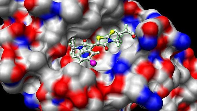 Learn Docking & Molecular Dynamics Simulation From Scratch