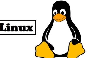 Linux Tutorials All Batches Classes for Beginners to Expert