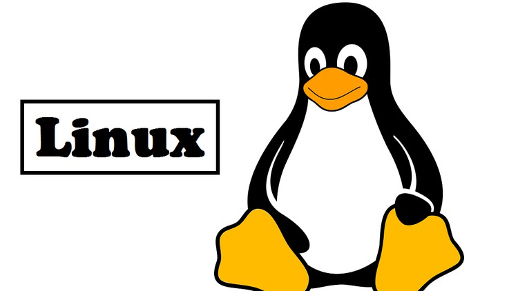 Linux Tutorials All Batches Classes for Beginners to Expert