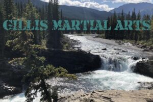 Martial Arts Fundamentals of Striking