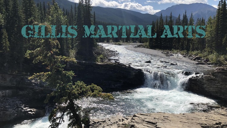 Martial Arts Fundamentals of Striking