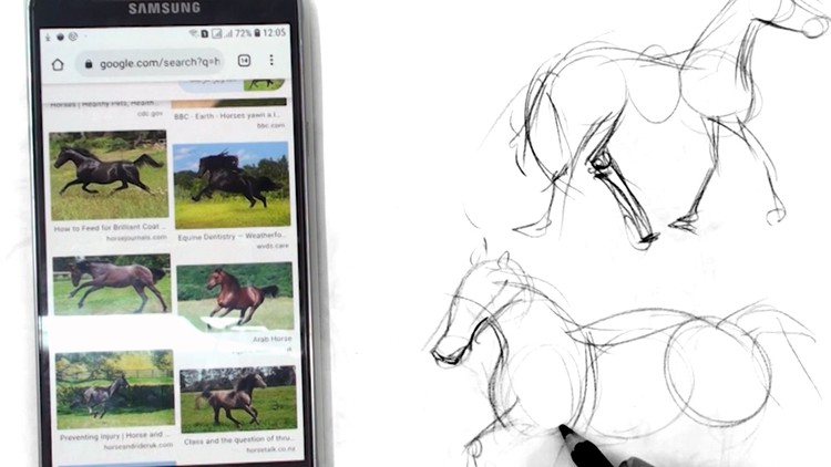 Animal Sketching & Drawing for Beginners - Free Udemy Courses