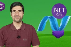 ASP.NET Core 6.0 MVC Web Design Training