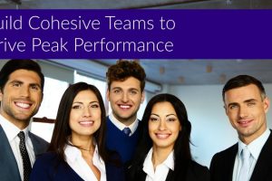 Build Cohesive Teams to Drive Peak Performance - Free Udemy Courses