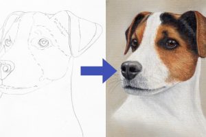 Draw a Jack Russell using Pastel Pencils - Free Udemy Courses