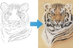 Draw a Tiger using just 6 Pastel Pencils - Free Udemy Courses