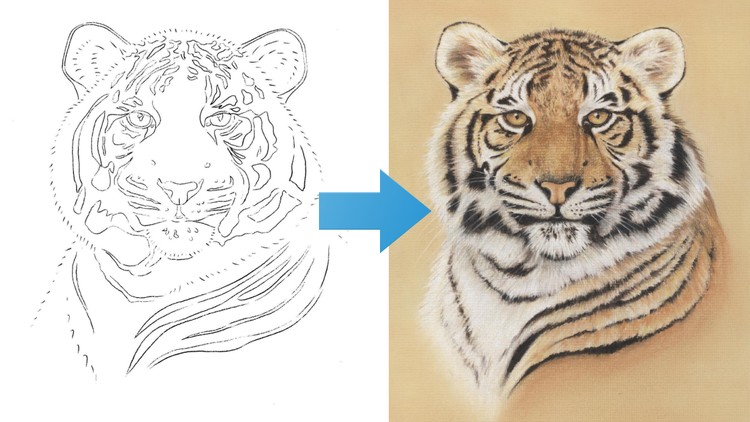 Draw a Tiger using just 6 Pastel Pencils - Free Udemy Courses