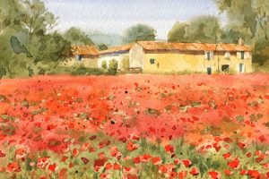 Watercolor painting with Master step-by-step: Poppy field - Free Udemy Courses