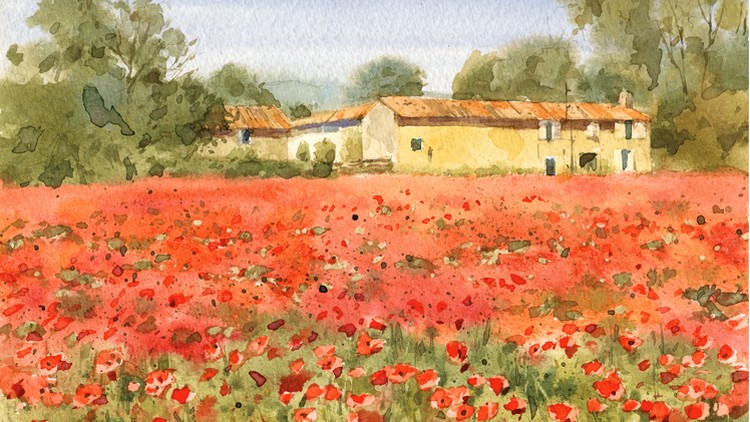 Watercolor painting with Master step-by-step: Poppy field - Free Udemy Courses