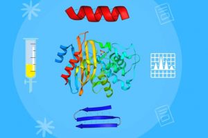 Learn the Fundamentals of Amino Acids and Proteins