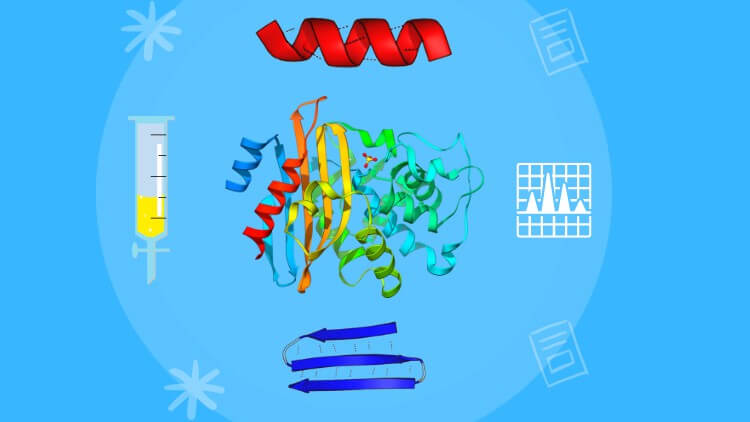 Learn the Fundamentals of Amino Acids and Proteins